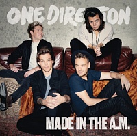 ONE DIRECTION /IRE/ - Made in the a.m.