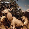 INTERPOL /USA/ - Our love to admire