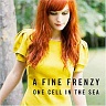 A FINE FRENZY /USA/ - One cell in the sea
