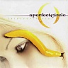 A PERFECT CIRCLE - Thirteenth step