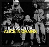 ALICE IN CHAINS - The essential-the best of:2cd