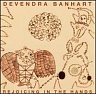 BANHART DEVENDRA - Rejoicing in the hands