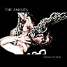 AMENTA THE /AUS/ - Flesh is heir