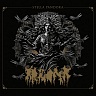 Stella pandora