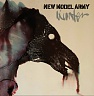 NEW MODEL ARMY /UK/ - Winter