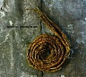 NINE INCH NAILS - Further down the spiral-remix album