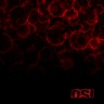O.S.I. (ex.FATES WARNING) - Blood-digipack:reedice 2017