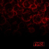O.S.I. (ex.FATES WARNING) - Blood-digipack:reedice 2017