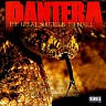 PANTERA - The great southern trendkill