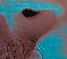 Meddle-reedice 2025