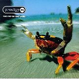 PRODIGY THE - The fat of the land-2cd:expanded edition