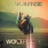 SKUNK ANANSIE - Wonderlustre-cd+dvd:limited