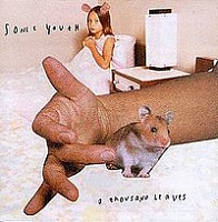 SONIC YOUTH - A thousand leaves