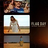 Flag day/Eddie Vedder/Glen Hansard/Cat Power