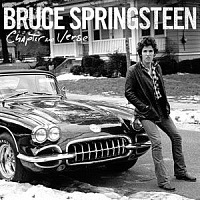 SPRINGSTEEN BRUCE - Chapter and verse-the best of
