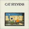 STEVENS CAT /UK/ - Teaser and the firecat