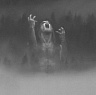 TAAKE /NOR/ - Taake