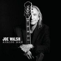 WALSH JOE - Analog man