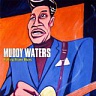 WATERS MUDDY - Rolling stone blues