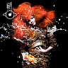 BJÖRK - Biophilia