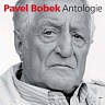 BOBEK PAVEL - Antologie-2cd:best of