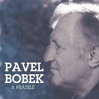 BOBEK PAVEL - Pavel bobek a přátelé-2cd