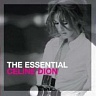 DION CELINE - The essential celine dion-2cd:the best of