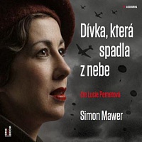 MAWER SIMON - Dívka,která spadla z nebe-Mp3