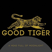 GOOD TIGER - A head full of moonlight