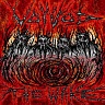 The wake