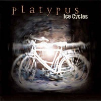 Ice cycles