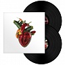 Torn arteries-2lp-140 gram vinyl