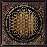 BRING ME THE HORIZON /UK/ - Sempiternal