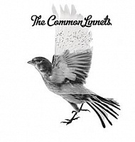 COMMON LINNETS THE /NETH/ - The common linnets