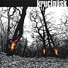 Druide!-180 gram vinyl 2024