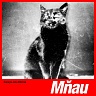 Mňau-digipack