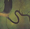 DEAD CAN DANCE - The serpent´s egg-remastered
