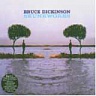 DICKINSON BRUCE - Skunkworks-2cd : reedice 2013