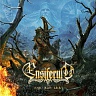 ENSIFERUM - One man army