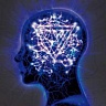 ENTER SHIKARI /UK/ - The mindsweep-cd+dvd:limited