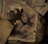 EQUILIBRIUM - Sagas