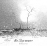 GALLHAMMER /JAP/ - Ill innocence-digipack