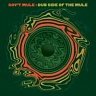 GOV´T MULE (ex.ALLMAN BROTHERS BAND) - Dub side of the mule