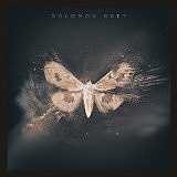 GREY SOLOMON - Solomon grey